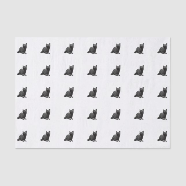 Black Cat Tissue Paper (Front)