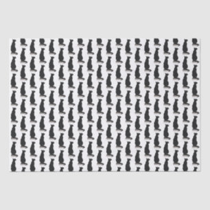 Black Cat Tissue Paper