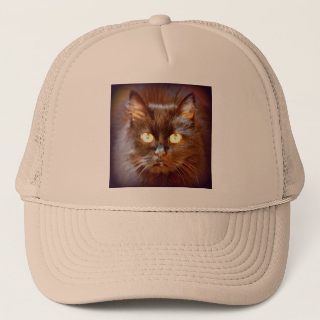black cat trucker hat (Front)