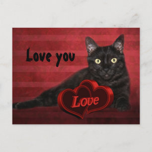 Black cat Valentine Holiday Postcard