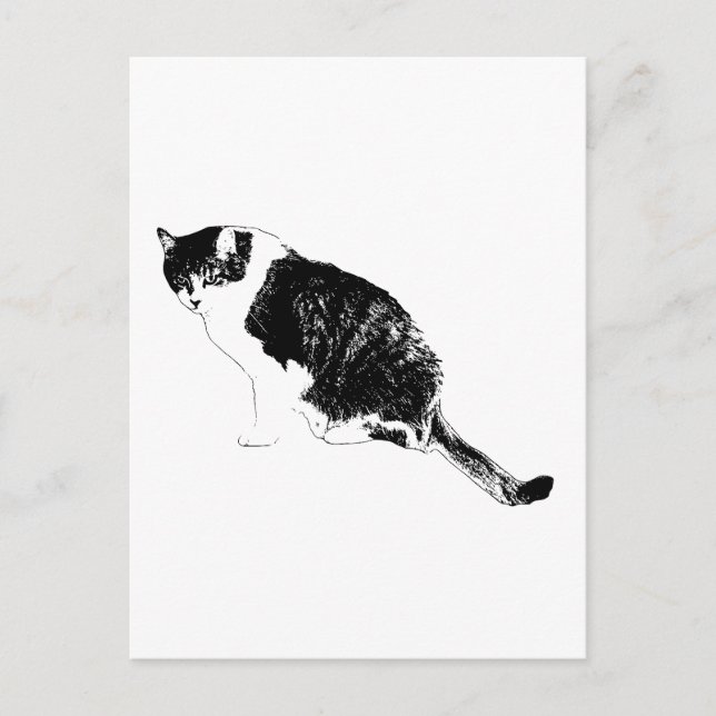 Black Cat Vector Invites Bold Seasonal Notes Postcard (Front)