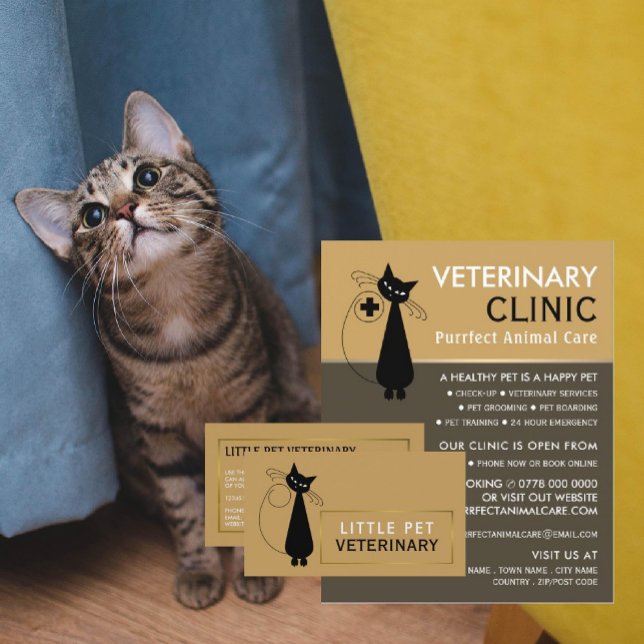 Black Cat, Veterinarian, Veterinary Service Business Card (Creator Uploaded)