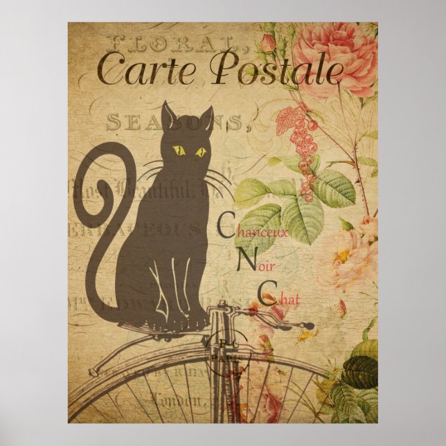 Black Cat Vintage French Postcard Poster (Front)