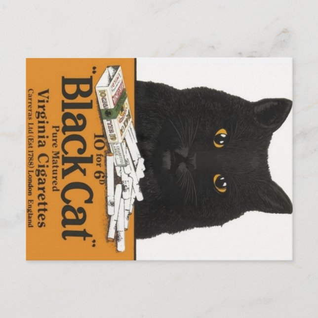 Black Cat Virginia Cigarettes Advert Postcard (Front)