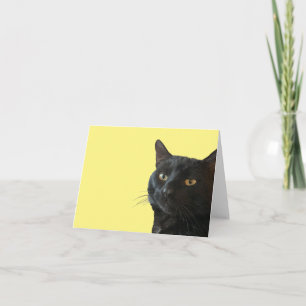 Black Cat With A Funny Quirky Expression Cut Out Card