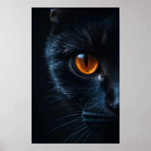 Black Cat  with Amber Eye Poster