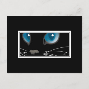 Black Cat with Blue Eyes Postcard