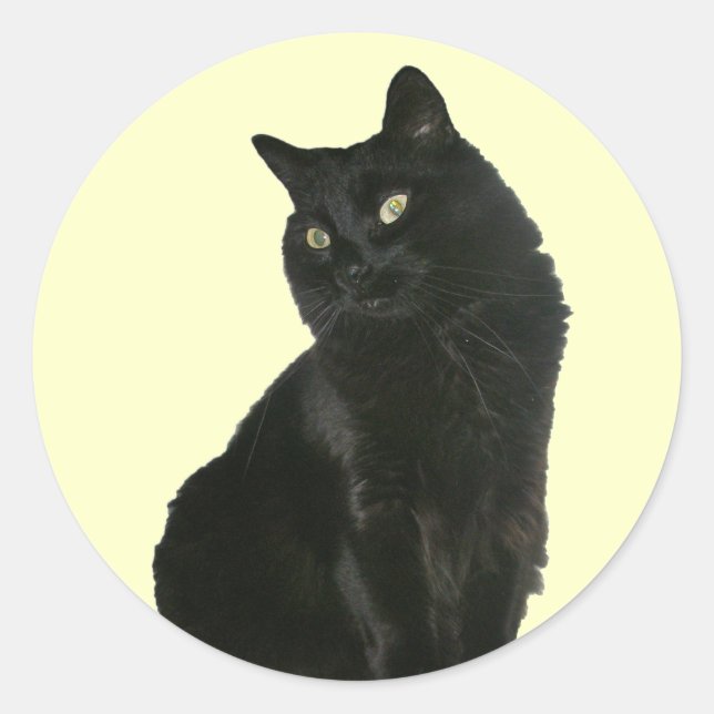 Black Cat with Golden Eyes Sticker (Front)