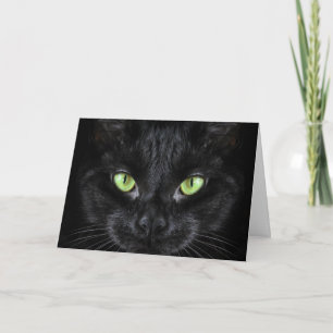 Black Cat with Green Eyes Card