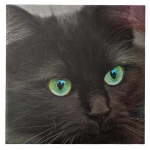 Black cat with green eyes portrait tile