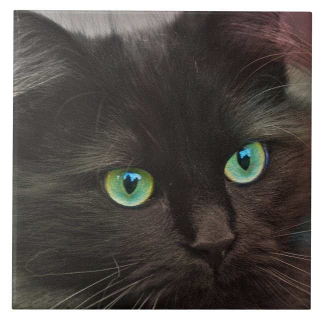 Black cat with green eyes portrait tile (Front)