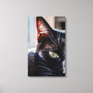 Black Cat with Green Eyes Wrapped Canvas