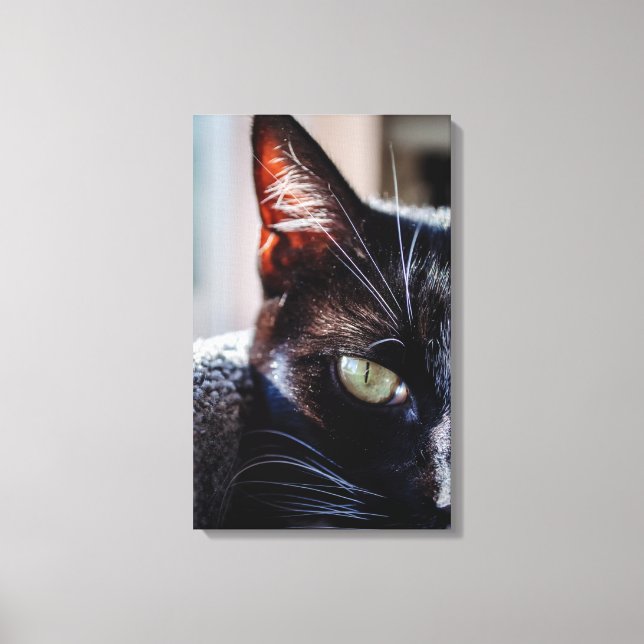 Black Cat with Green Eyes Wrapped Canvas (Front)