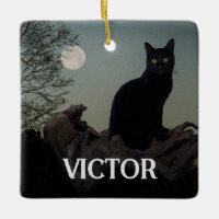 Black Cat with Moon on Tree Limb
