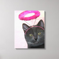 Black Cat With Pink Angel Halo