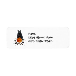 Black Cat with Rats and Jack-o-Lantern