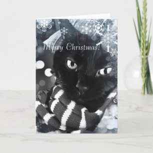 Black Cat with Snowflakes Christmas Card