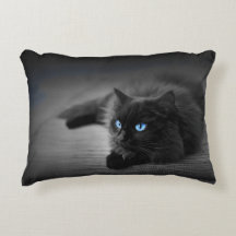 Black Cat with Striking Blue Eyes – Feline Accent