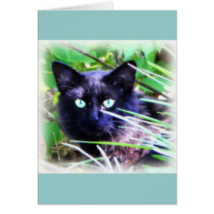 Black cat with striking green eyes