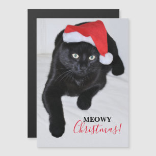 Black Cat with the Red Santa Hat