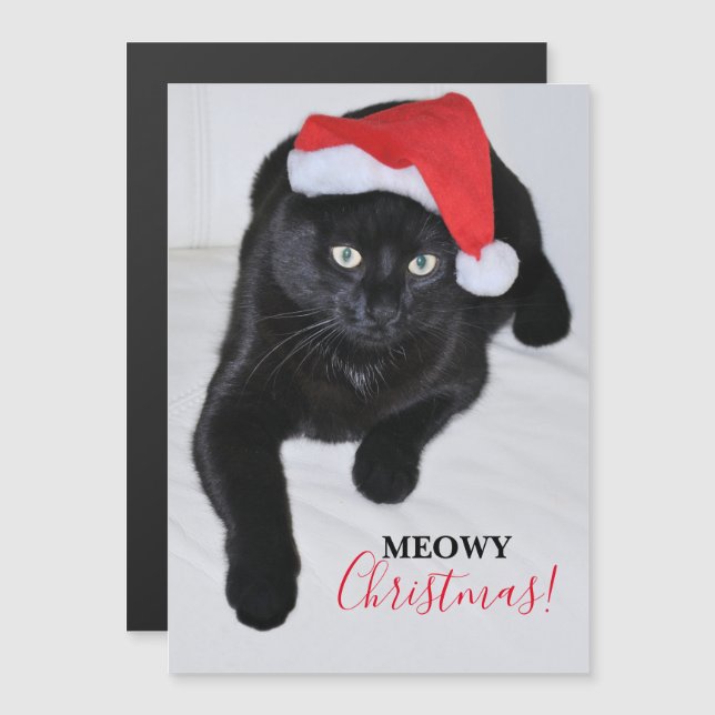Black Cat with the Red Santa Hat (Front/Back)