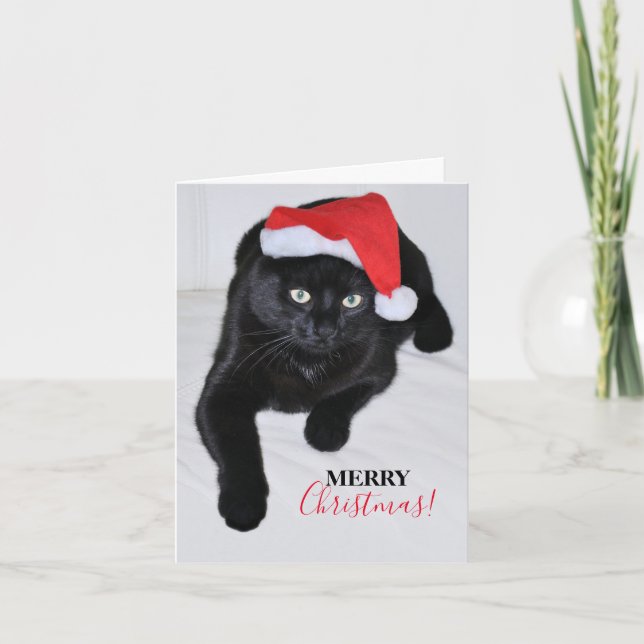 Black Cat with the Red Santa Hat Holiday Card (Front)