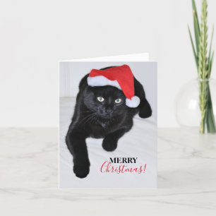 Black Cat with the Red Santa Hat Holiday Card