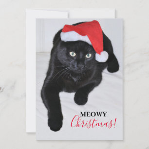 Black Cat with the Red Santa Hat Holiday Card