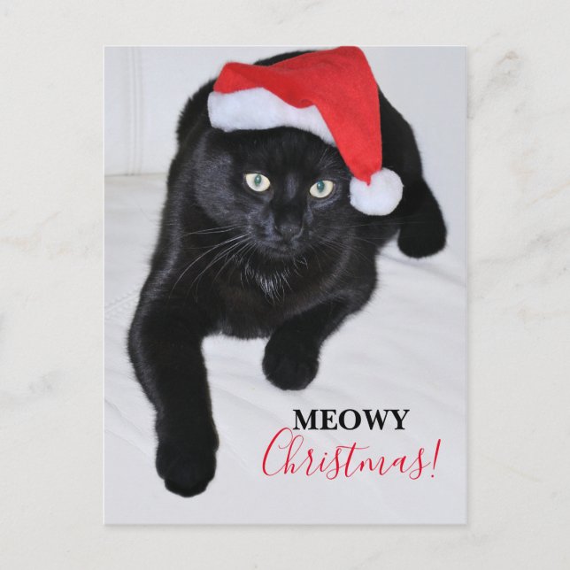 Black Cat with the Red Santa Hat Postcard (Front)