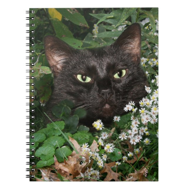 Black cat with wildflowers notebook (Front)