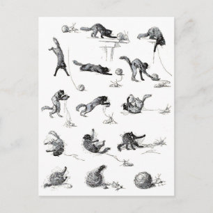 Black cat & Woollen yarn ball, Alexandre Steinlen Postcard