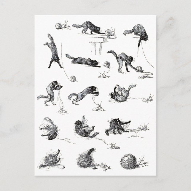 Black cat & Woollen yarn ball, Alexandre Steinlen Postcard (Front)