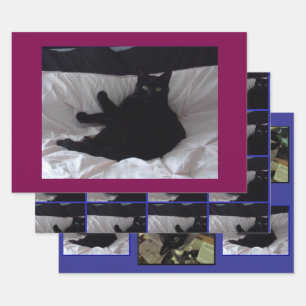 Black Cat Wrapping Paper Flat set of 3 sheets