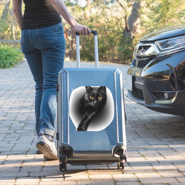 Black Cat Yellow Eyes (Suitcase Insitu)