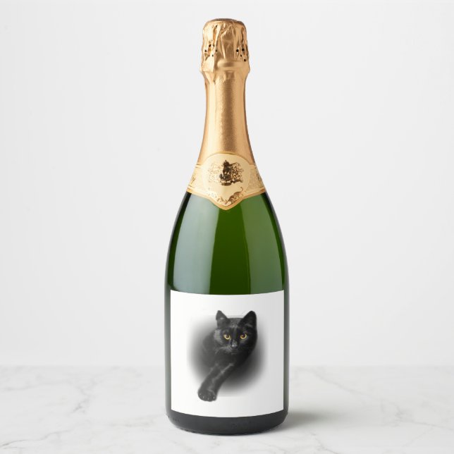 Black Cat Yellow Eyes Sparkling Wine Label (Front)
