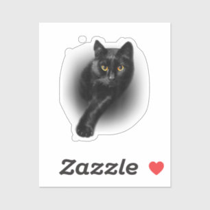 Black Cat Yellow Eyes T-Shirt Cats Tee