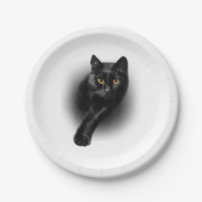 Black Cat Yellow Eyes T-Shirt Cats Tee Paper Plate (Front)