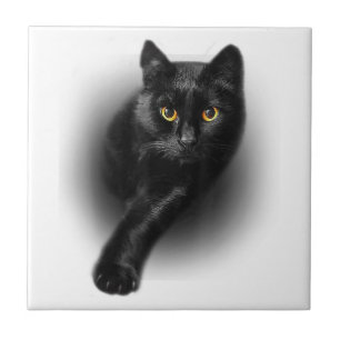 Black Cat Yellow Eyes T-Shirt Cats Tee Tile