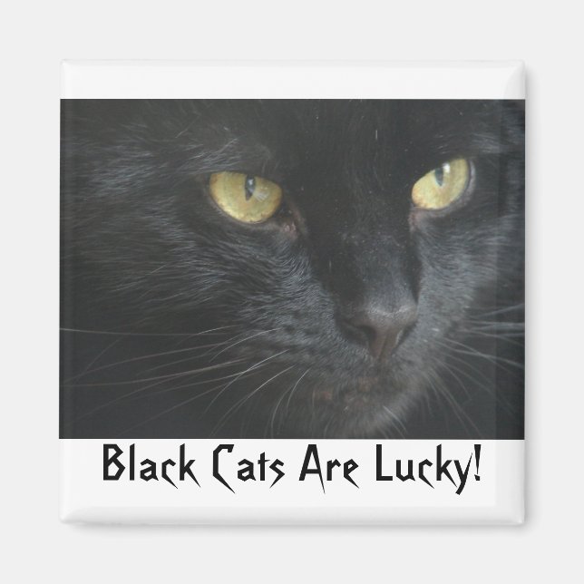 Black Cats Are Lucky! Magnet (Front)