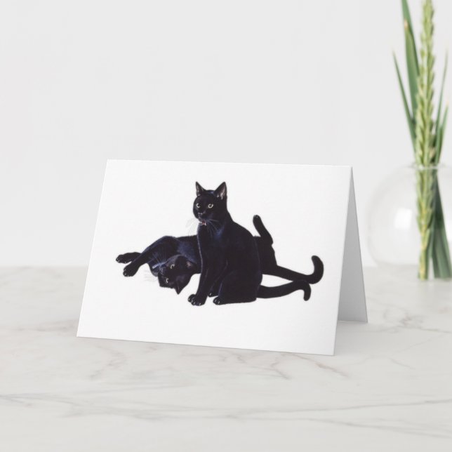 black cats card (Front)