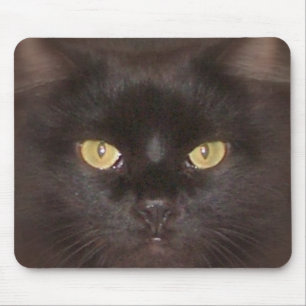 black cats eyes mouse mat