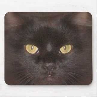 black cats eyes mouse mat