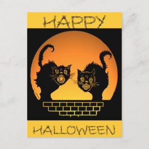 Black Cats Halloween Design Postcard