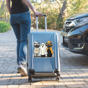 Black Cats in Halloween Costumes – Ghost, Witch, a