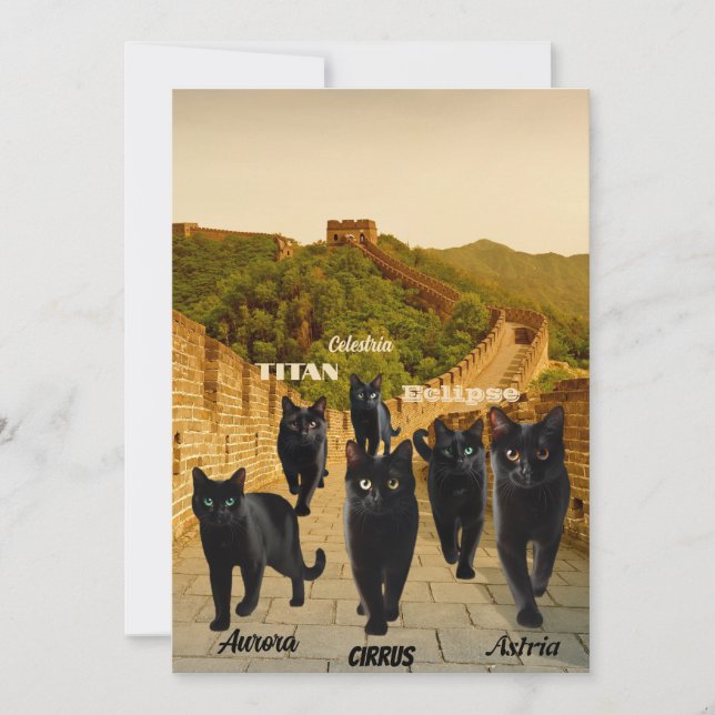 Black Cats Invade The Great Wall Flat Holiday Card (Front)