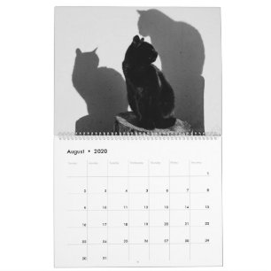 Black Cats & Kittens Cute Kitty Cat 2021 Calendar