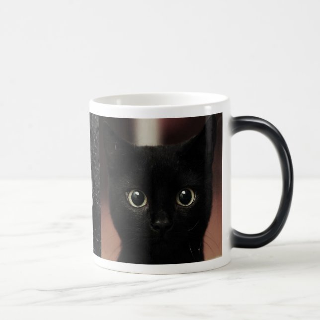 Black Cats Magic Mug (Right)