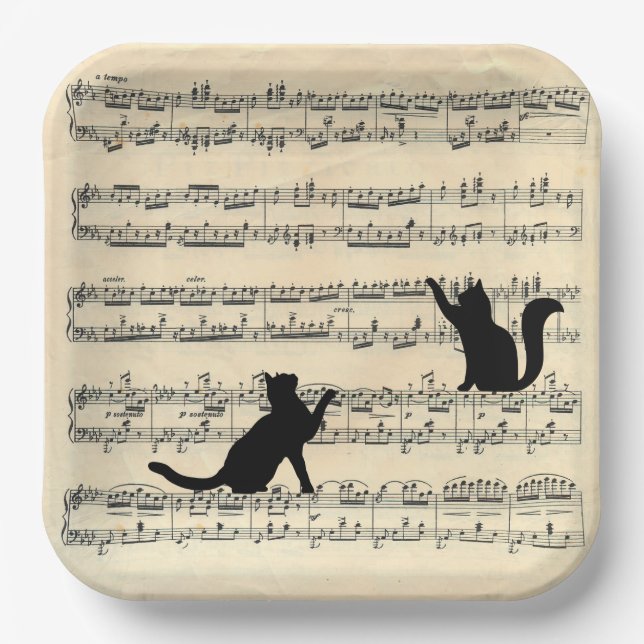 Black Cats on Sheet Music Paper Plate (Front)