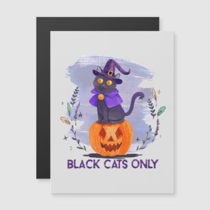 Black Cats Only – Witch Cat on Jack-O’-Lantern