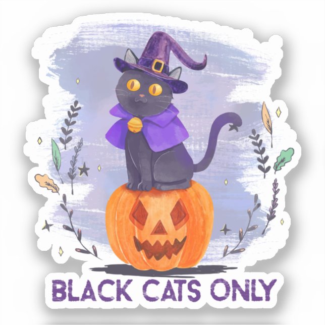 Black Cats Only – Witch Cat on Jack-O’-Lantern (Front)